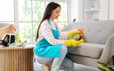 Jak skutecznie wyczyścić brudną sofę i kanapę przed świętami?