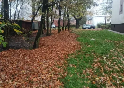 jesienne prace porzadkowe swiadczone dla wspolnot mieszkaniowych i spoldzielni mieszkaniowych 3
