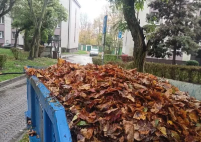 jesienne prace porzadkowe swiadczone dla wspolnot mieszkaniowych i spoldzielni mieszkaniowych 4
