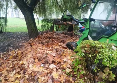 jesienne prace porzadkowe swiadczone dla wspolnot mieszkaniowych i spoldzielni mieszkaniowych