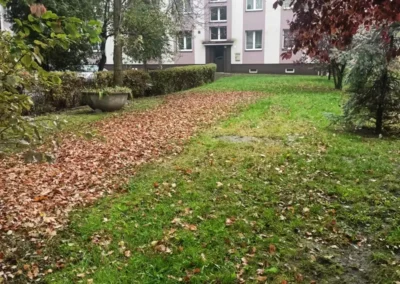 jesienne prace porzadkowe swiadczone dla wspolnot mieszkaniowych i spoldzielni mieszkaniowych 5