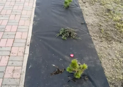 letnie utrzymanie terenow zielonych 66