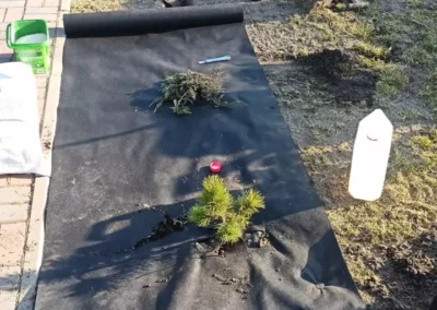 letnie utrzymanie terenow zielonych Slask