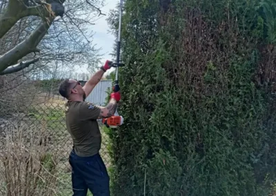 letnie utrzymanie terenow zielonych Zabrze