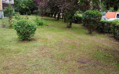 uslugi ogrodowe porzadkowanie sprzatanie Bytom Clean-Master – lider usług czystościowych i konserwacyjnych na Śląsku