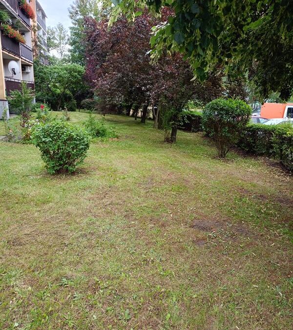 Clean-Master – lider usług czystościowych i konserwacyjnych na Śląsku