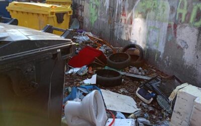 utrzymanie terenow zewnetrznych dla wspolnot mieszkaniowych Zabrze Utrzymanie czystości w budynkach komunalnych – postaw na profesjonalistów z Clean-Master