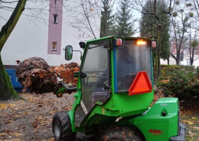 zbieranie liści wspólnoty mieszkaniowe Bytom